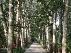 -北京麋鹿生态实验中心