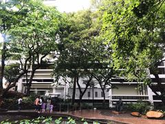 -香港大学