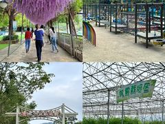-盈香心动乐园