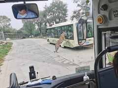 -西安秦岭野生动物园