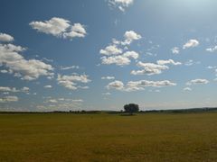 -塞罕坝国家级自然保护区