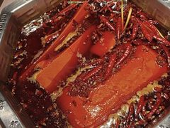 -蜀九香火锅(九眼桥店)