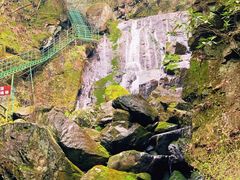 -藏龙百瀑风景区