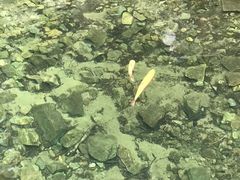 -本溪汤沟绿石谷森林公园