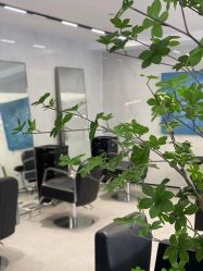 -付军剪艺JF ProSalon
