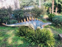 -自贡恐龙博物馆