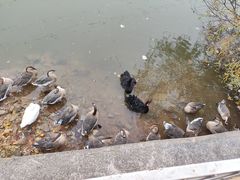 -石家庄市动物园