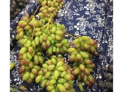 -世纪联华(吴淞店)