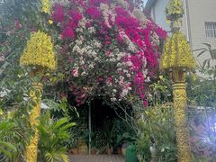 -品德宏·孔雀宴的发源地(金塔园店)