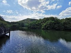 -白马涧龙池景区