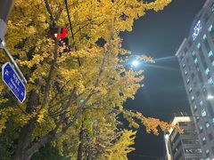 -东大门市场