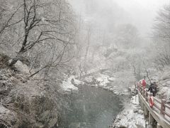 -少华山国家森林公园