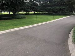 -青枫公园