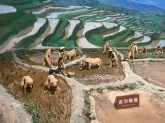 -中国农业博物馆