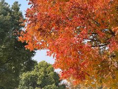 -南京市江宁方山