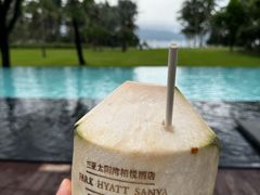 -三亚太阳湾柏悦酒店