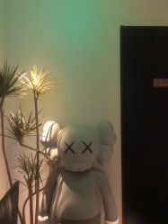 -玛莲朵·海菲秀冰珀科