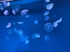 -多彩贵州城极地海洋世界