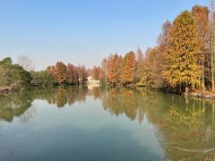 -上海海湾国家森林公园