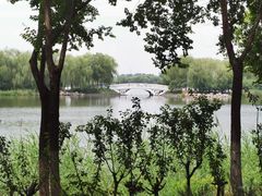 -大兴滨河森林公园