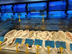 -姚江春中餐厅·太平洋大酒店