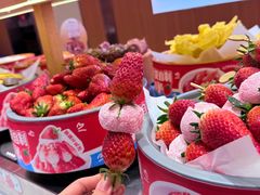 -龍歌自助小火锅(市南金茂湾店)