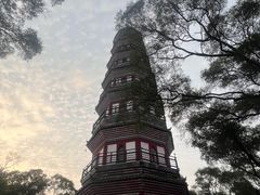 -顺峰山公园