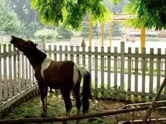 -意大利农场度假村