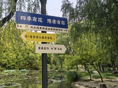 -洛阳市隋唐城遗址植物园