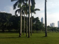 -万绿园