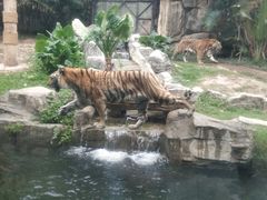 -深圳野生动物园