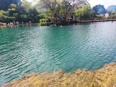 -靖西鹅泉风景区