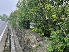 -太阳湾风景区