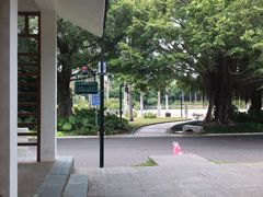 -南宁南湖公园