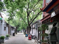 -炒豆合作社(东四总店)