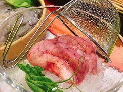 脑花-XiaoJunGan Hotpot 钢管厂五区小郡肝火锅串串香
