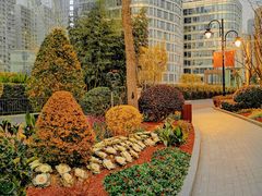 -北外滩滨江绿地