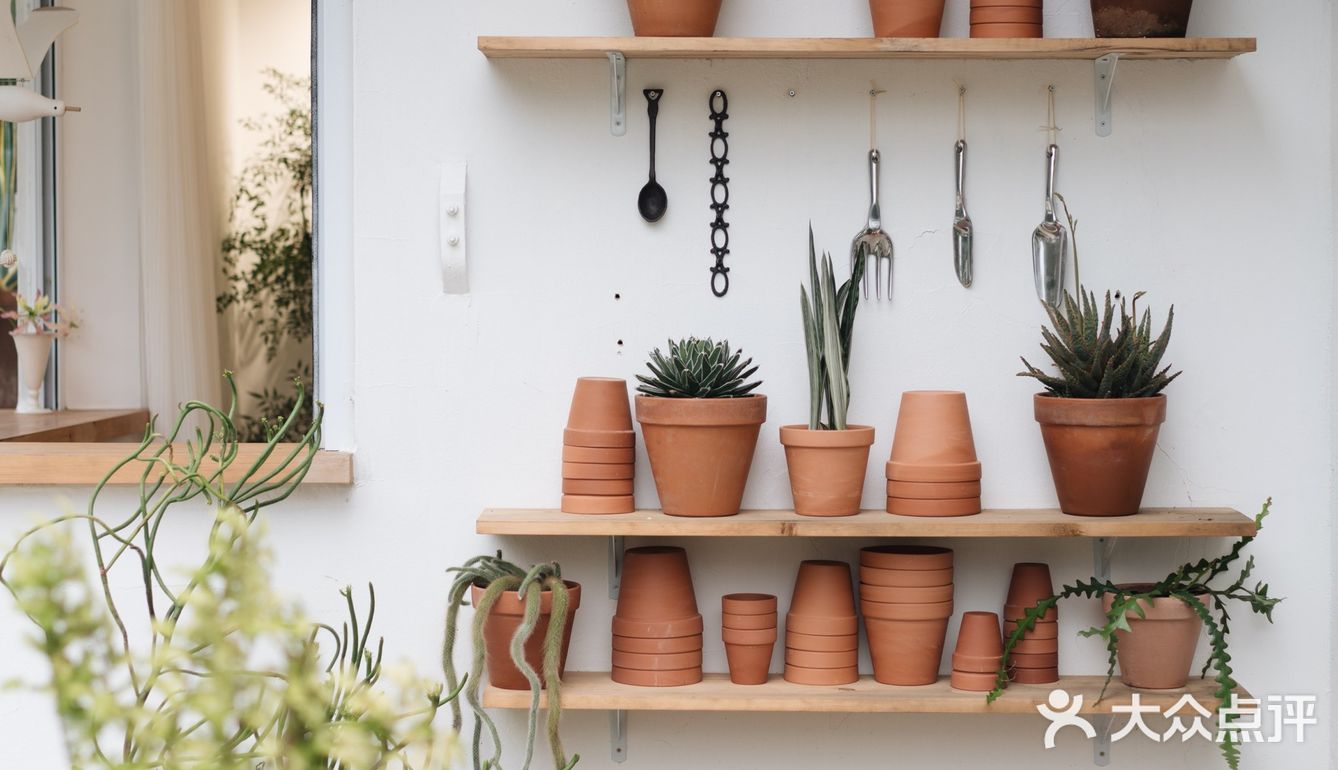 与植物生活在一起Ning's 