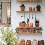 与植物生活在一起Ning's 