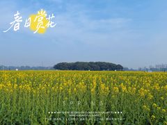 -中国天府农业博览园