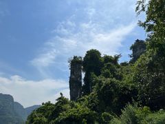 -三峡人家风景区