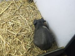 -昆明大悦城未来动物城(螺蛳湾中心店)
