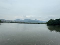 -三垟湿地