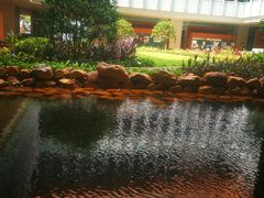 -香港大学