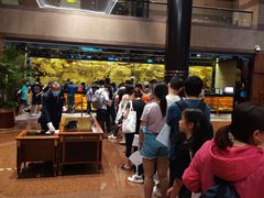 -上海新锦江大酒店