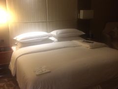 -成都天府丽都喜来登饭店