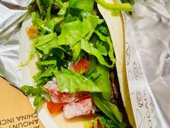 -油梨树AVOCADO TREE(嘉里中心店)