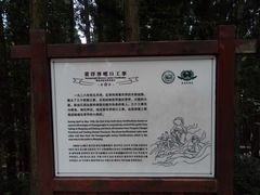 -井冈山风景名胜区-黄洋界