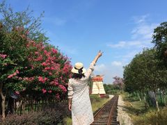 -武汉紫薇都市田园