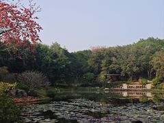 -云溪植物园